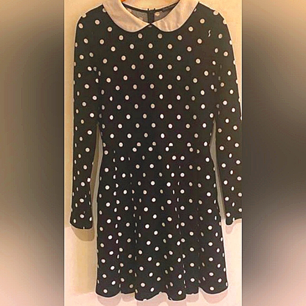 Winsome Polka Dot Dress